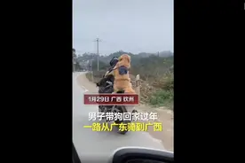 广东：小伙骑摩托车带狗回家过年 布带绑身上 带个妹子吧图片