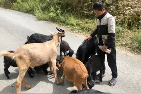 爸爸患病花光家底离世，15岁男孩成为顶梁柱，照顾弟妹和残疾奶奶图片