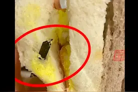 315最前线：桃李面包被曝吃出刀片，吴学亮面临连续2年增收不增利图片