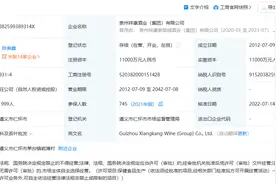 “酱酒大王”邱阳投资60亿在茅台镇建起了一个类似布达拉宫的建筑图片