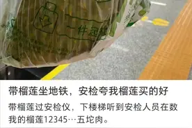 带榴莲坐地铁，安检夸我榴莲买的好图片