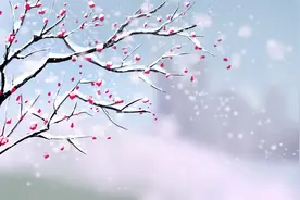 假如，我们不曾相遇……图片
