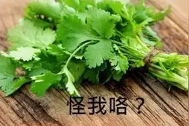 “不要香菜，谢谢”图片