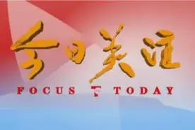 费县最新区划代码！快看你家是什么数字？图片