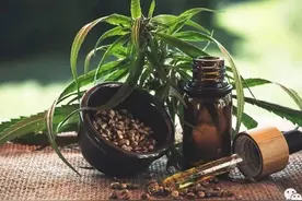 挥刀“自宫”？泰国男子吸食大麻过量后疯狂自残，合法化仍在失控图片