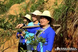 感动中国2022年度人物杨宁：敢卖婚房种新田图片