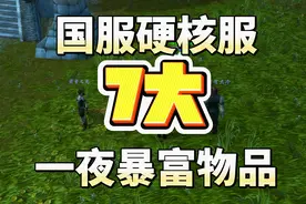 国服硬核服7个让你一夜暴富的物品图片