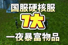 国服硬核服7个让你一夜暴富的物品图片