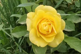 公务员为什么会有文明奖，是专有的吗，其他人精神不文明吗图片