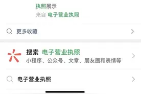 如何查询自己名下被注册了哪些公司营业执照？图片