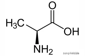 20种常见氨基酸——丙氨酸图片
