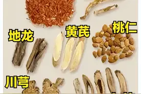 活血，通络，抗血栓，4种常用于脑血管病、中风、脑梗的中成药图片
