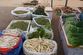 春天的味道！​昆明这家店铺售卖70多种野菜图片