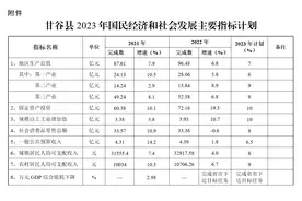 甘谷县人民政府关于下达2023年国民经济和社会发展计划的通知图片