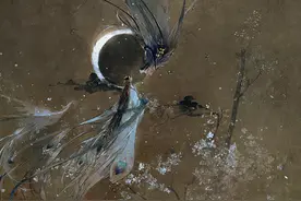 分享那些好听又有寓意的网名图片