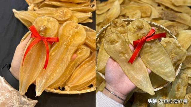 花胶头数越大越贵吗 2026年花胶个头越大越贵吗