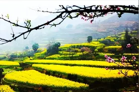 俗语：“开江鱼、下蛋鸡、回笼觉、二房妻”，啥意思，有何道理？图片