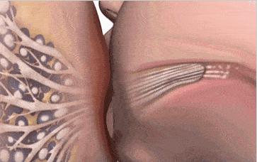 4个月奶水不足怎样催奶有效 2026年四个月奶水不足怎么追奶