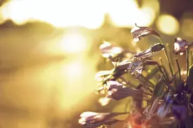 有远见的女人，一辈子三不做，越不做越有福气图片