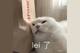 公开呛声、互绿被拍、拉同事挡枪，爱豆分手撕X更不体面吧…图片