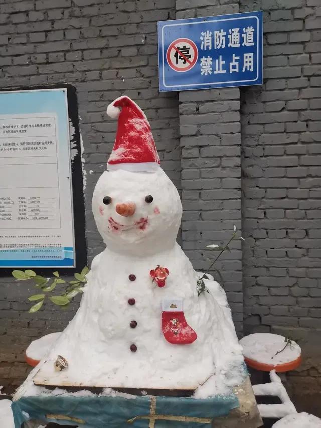 大郑州堆雪人内卷严重，哪个是金奖？全河南的雪人都在这里了