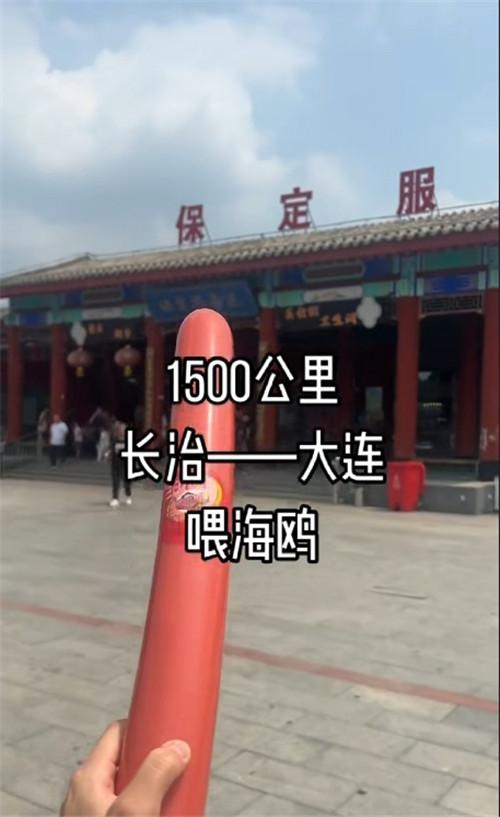 山西小伙自驾来连喂海鸥 全程举火腿肠！大连网友：替海鸥谢谢你