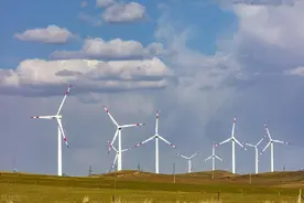 5大化工巨头：盛虹/恒力/巴斯夫/万华/桐昆，同时介入图片