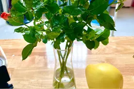 破坏别人感情的事千万别做！图片