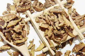 跟师学习中药总结——知母图片