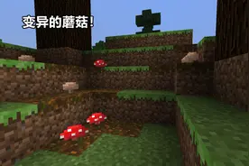 我的世界：一个“蘑菇”引发的惨案！僵尸身世之谜，蘑菇岛的由来图片