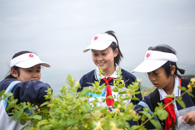 四川省民生研究会新媒体中心-官网