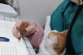 比较漂亮的女生在公务员面试中真的会有优势吗？图片