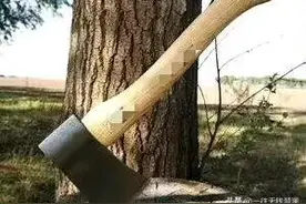 8岁男孩因偷吃继母买的鸡爪，就惨遭继母用斧头劈死，还将其分尸图片