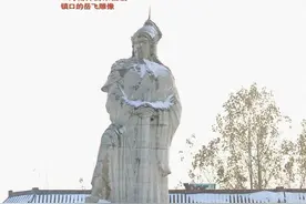 煮酒读书：岳飞之死图片