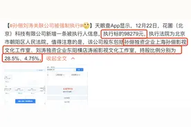 刘涛孙俪关联公司被强制执行98279元，孙俪是第二大股东图片