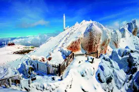 不忘初心，抗联足迹——红色记忆之旅图片