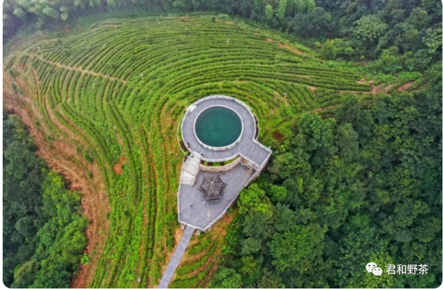 【君和茶品】桃源工夫茶(图1)
