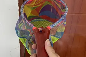 DIY路亚人，以最省的材料做工具图片