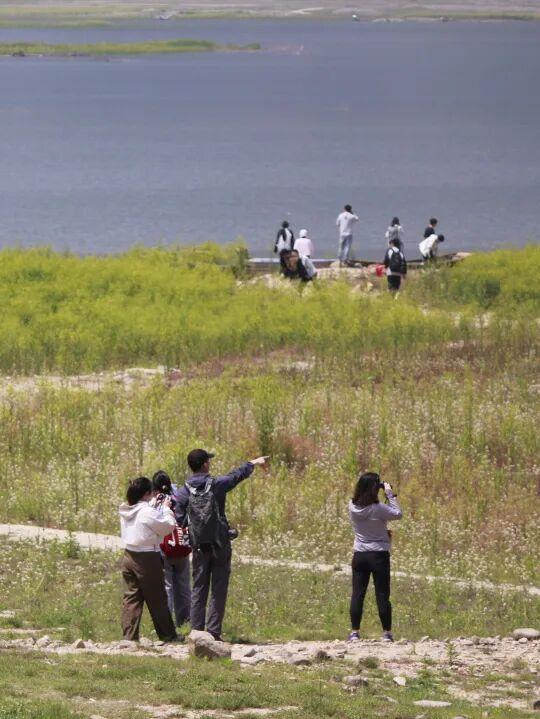黄山奇遇记：冬观候鸟，野探短尾猴，一场徒步自然的探索之行