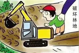 【以案说法】林地不是你想用，想用就能用图片