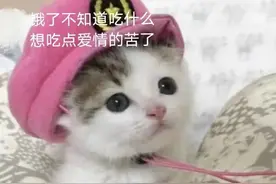 表情包｜想吃点爱情的苦图片