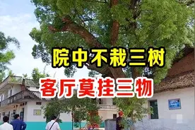 俗语“院中不栽三树，客厅莫挂三物”，三树三物指哪些？有道理吗图片