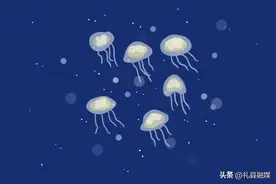 正式获批！多所新大学来了！明年就能报？超多海洋大学...图片