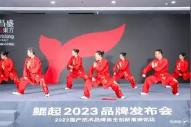 海太武韵闪耀国产武术品牌自主创新高端论坛暨鲲起品牌发布会图片