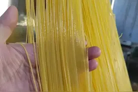 玉米面条加工一年利润有多少？图片