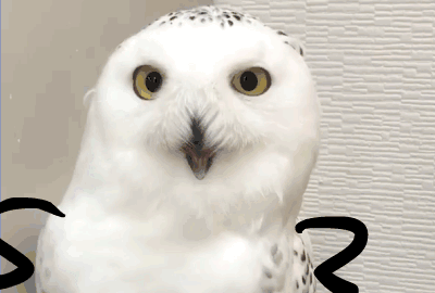 ���ۿ�����13����ʷԭ�ͱ���������Ϊʲô�������Ǳ�����