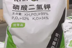 养花3大元素，“氮磷钾”各有什么作用？园艺师教你，一看就懂图片