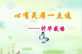 “心有灵犀一点通”的解读图片