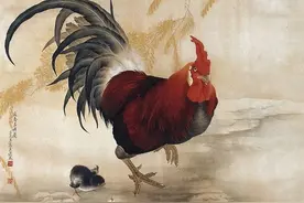 进来看看！生肖鸡的性格详细分析，看看自己是否符合！图片