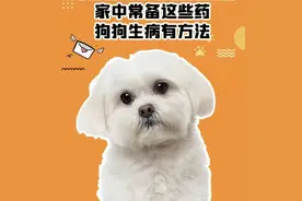 宠物医院不会说的秘密图片